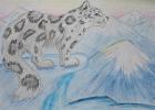 Дарья ТАБАКАЕВА, Знаменитый зверь нашего края - Снежный барс, Абаза